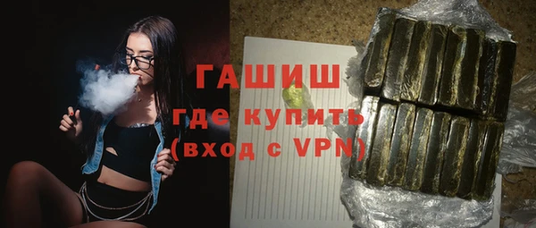 мдпв Гусев