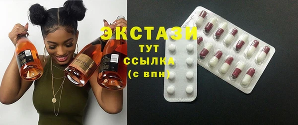 мдпв Гусев