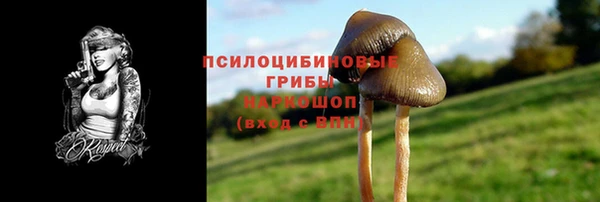 ALPHA PVP Гусиноозёрск