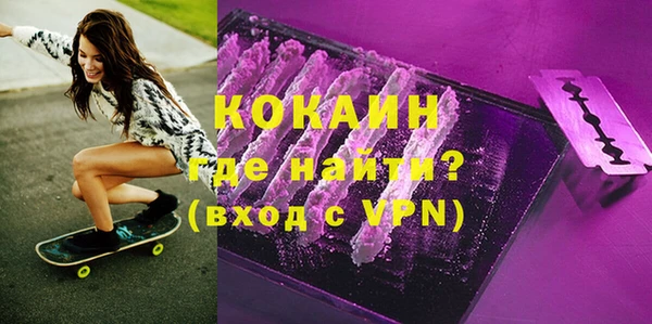 мдпв Гусев