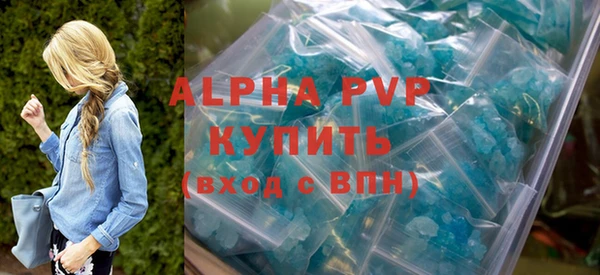 мдпв Гусев