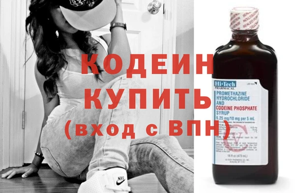 мдпв Гусев