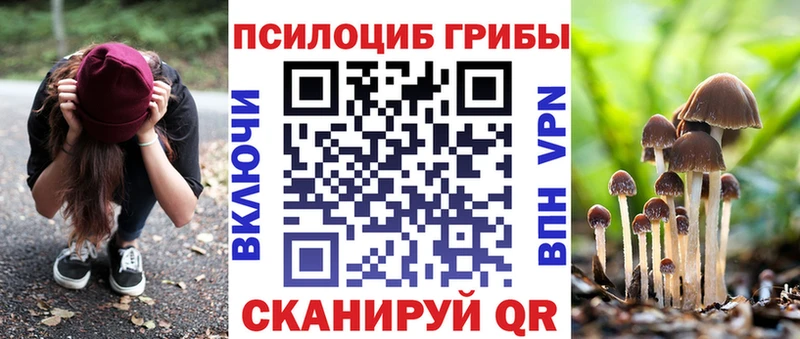 закладки  Тюмень  Галлюциногенные грибы мицелий 